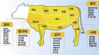 韓国語で牛肉の部位の名称は何という？ヒレ・サーロイン・ロース…など