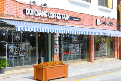 DOI-CHAANG-COFFEE-FARM