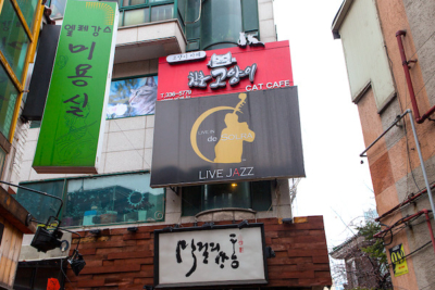 チョンチュンコヤギカペ