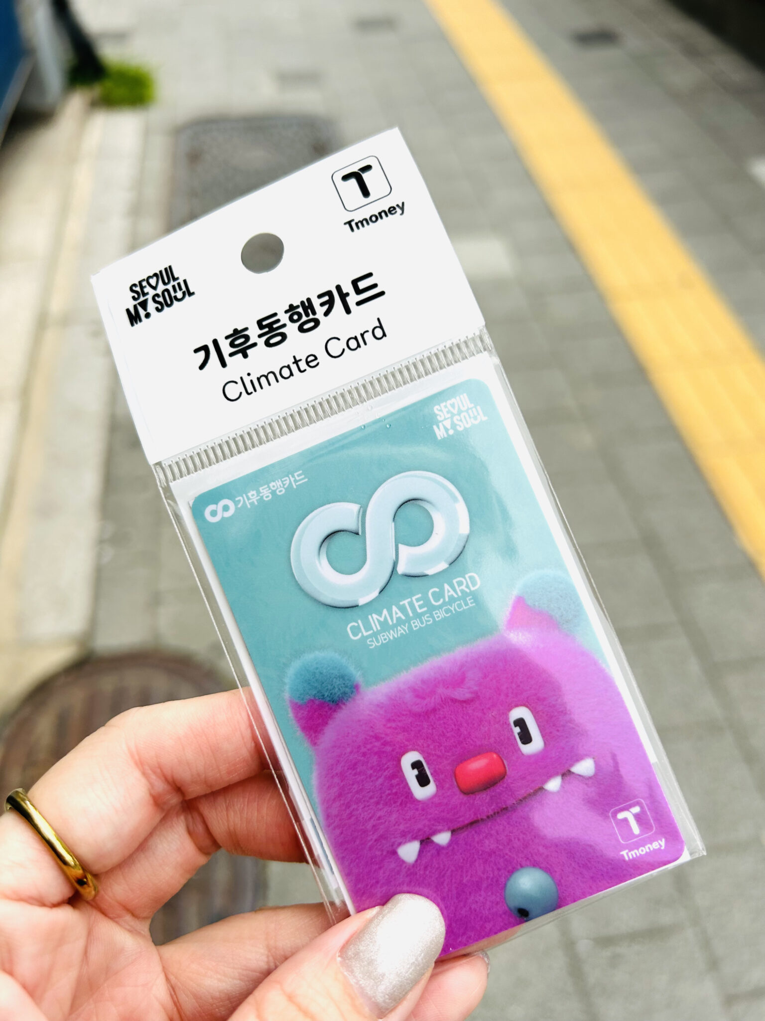 ソウル市のシンボル ヘチデザイン