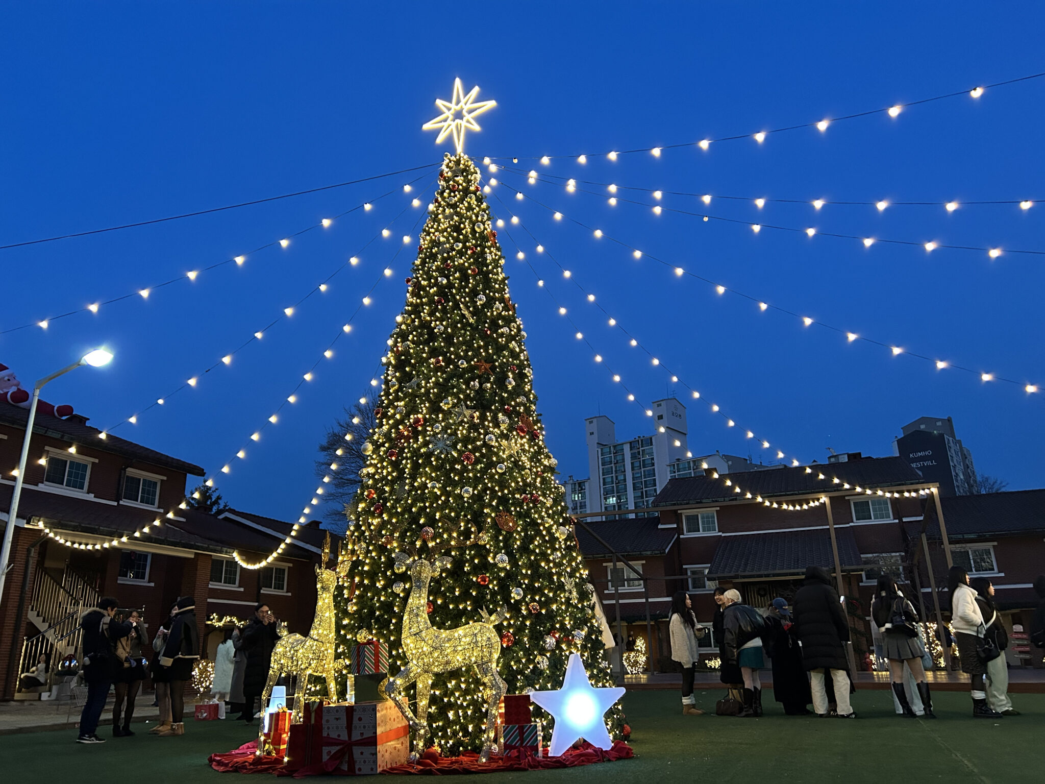龍山公園クリスマス＜２０２４年＞